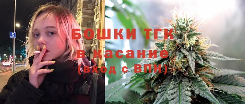 Конопля SATIVA & INDICA  Ржев 